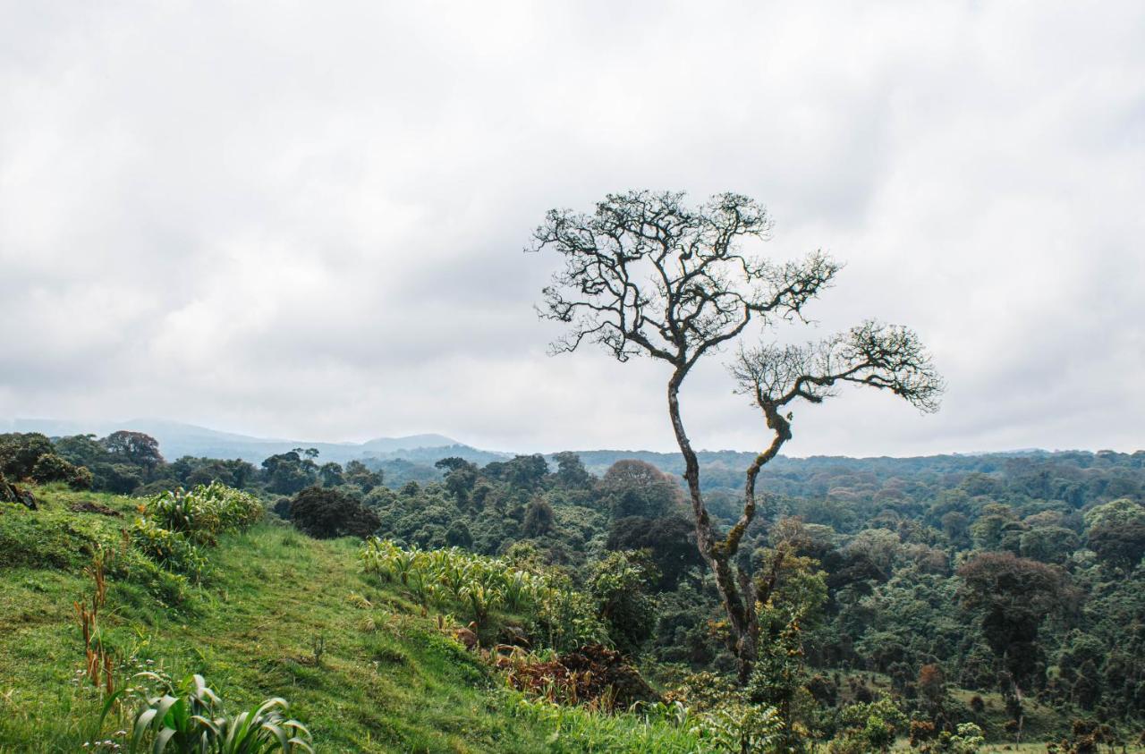 Mai Kilimanjaro Home Stay Marangu Экстерьер фото
